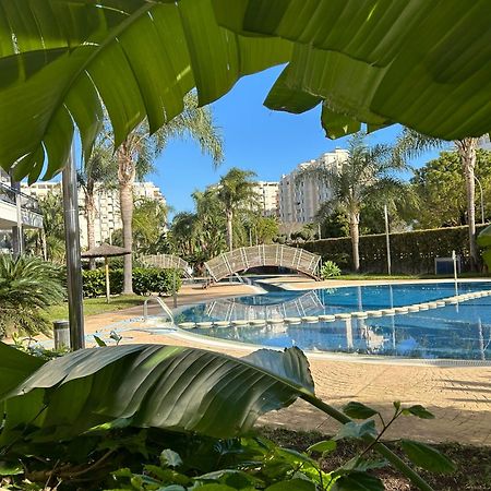 Margo El Eden Residencial Διαμέρισμα Gandía Εξωτερικό φωτογραφία